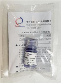 1×MonoColor蛋白上樣緩沖液 單染料（變性，還原，無氣味）